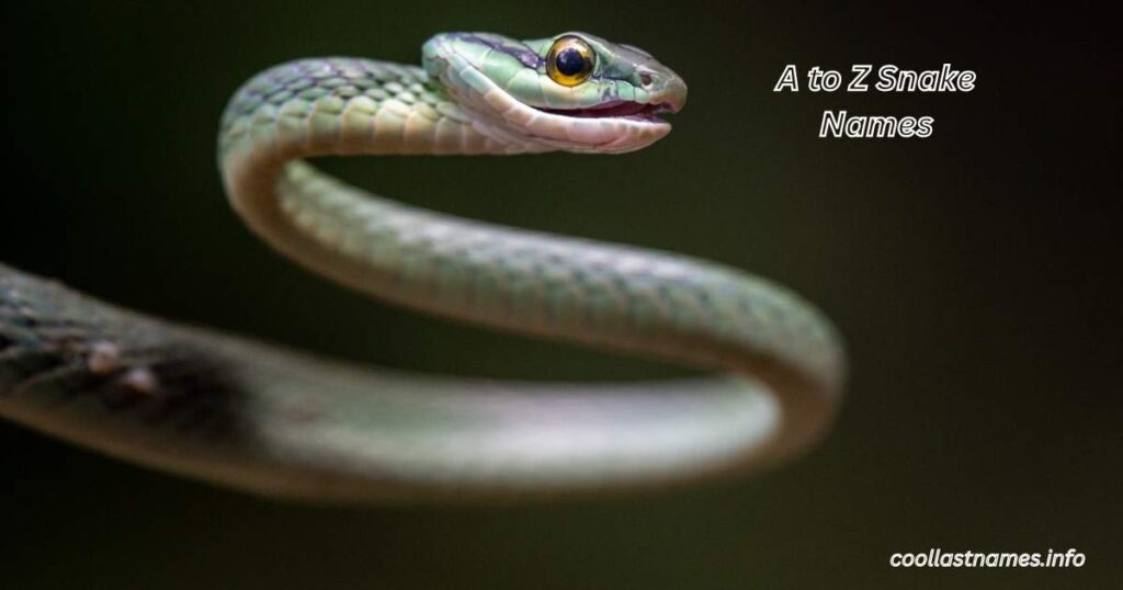 A to Z Snake Names