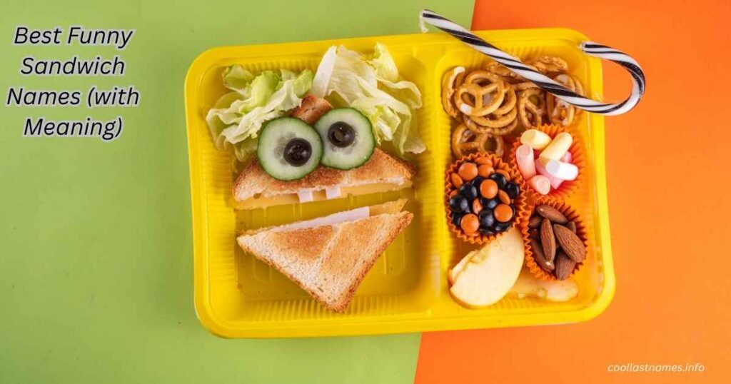 Best Funny Sandwich Names (with Meaning)