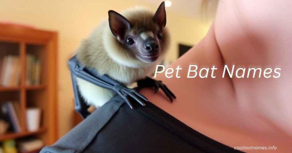 Pet Bat Names
