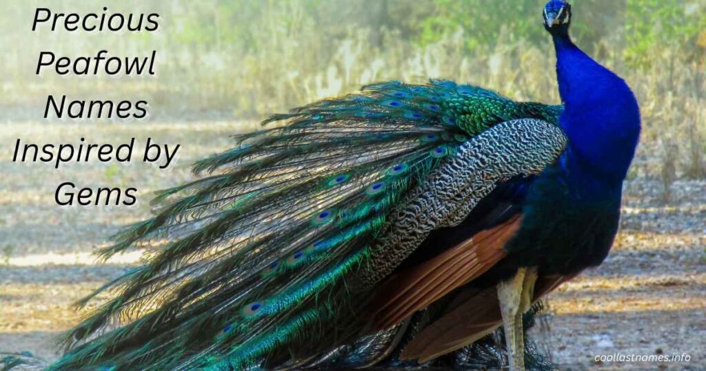 Precious Peafowl Names Inspired by Gems