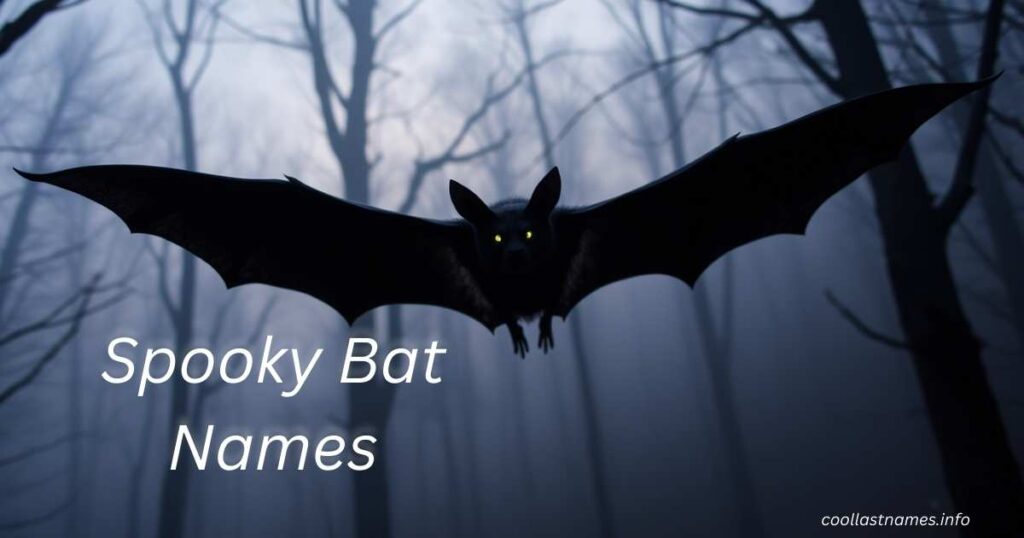 Spooky Bat Names