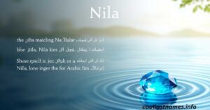 Nila meaning