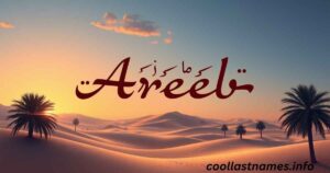 Areeb meaning in Arabic