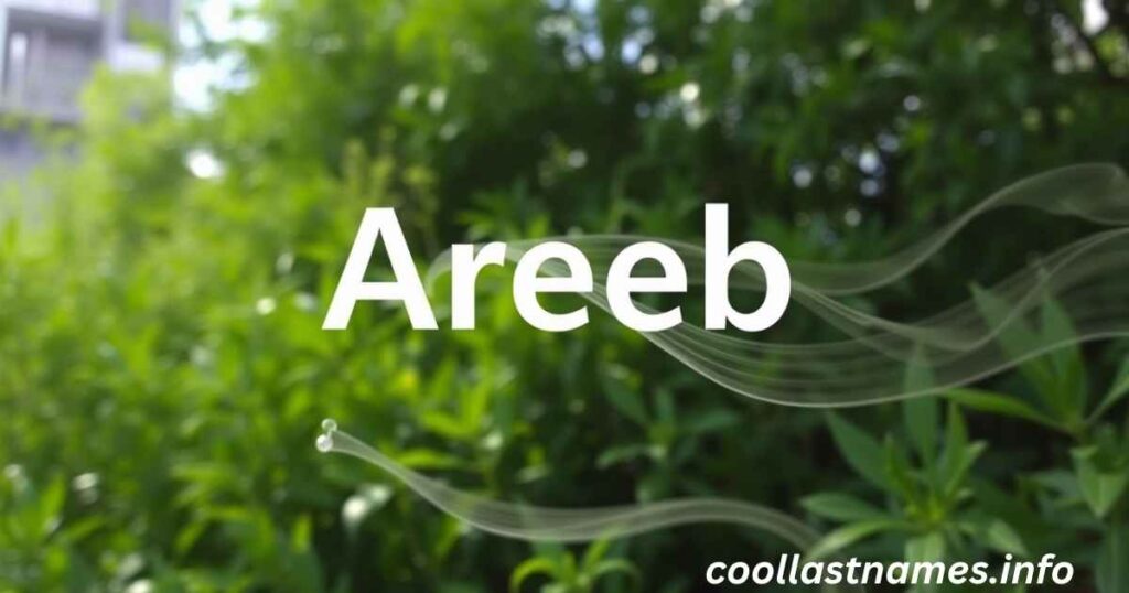 What does Areeb mean in Arabic?