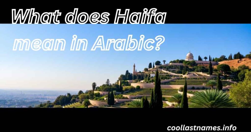 What does Haifa mean in Arabic?
